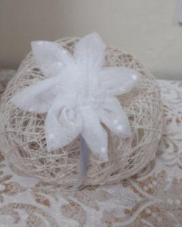 Diadema LaOrmiga