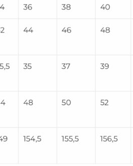 Modelo Alegrías del Sur